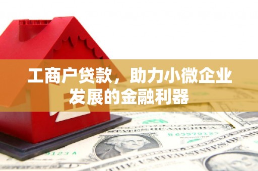 元长工商户贷款，助力小微企业发展的金融利器