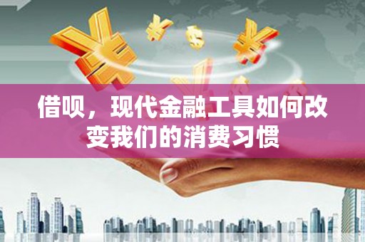 龙崎借呗，现代金融工具如何改变我们的消费习惯