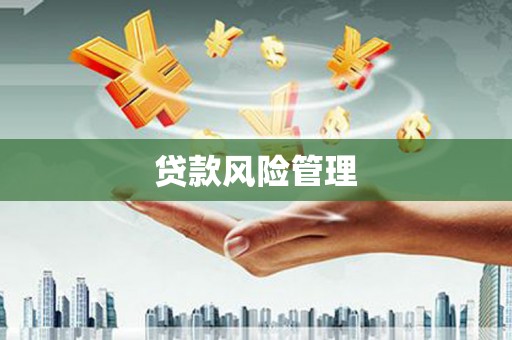 三亚贷款风险管理