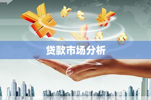 金口河贷款市场分析