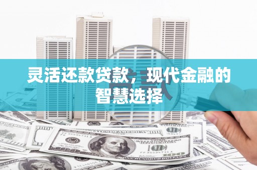 镇雄灵活还款贷款，现代金融的智慧选择