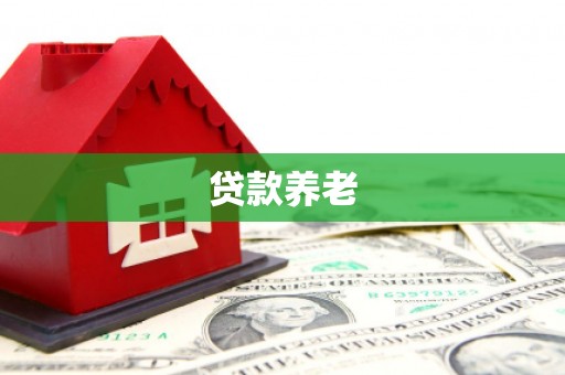 竹溪贷款养老
