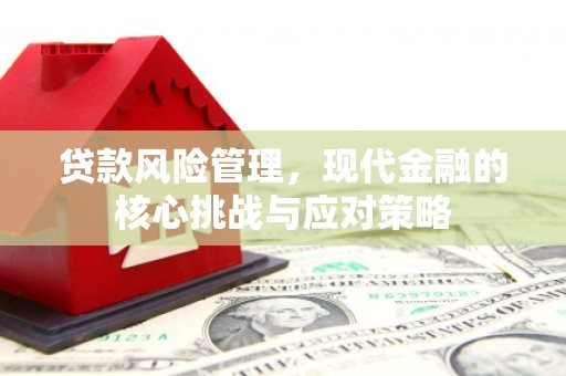 朗县贷款风险管理，现代金融的核心挑战与应对策略