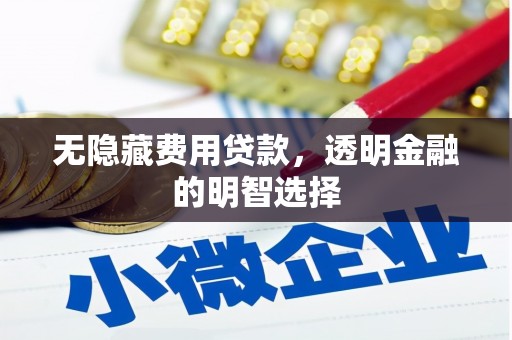 零陵无隐藏费用贷款，透明金融的明智选择