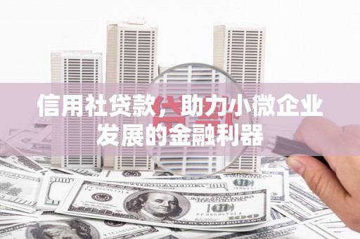 库车信用社贷款，助力小微企业发展的金融利器