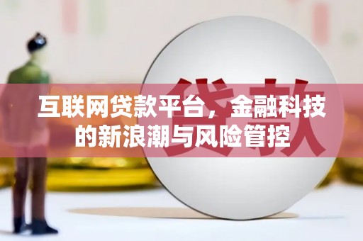 巴马互联网贷款平台，金融科技的新浪潮与风险管控