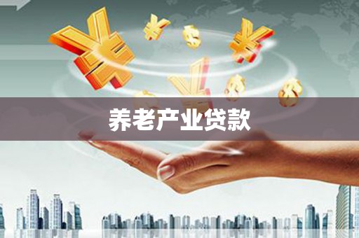 北港养老产业贷款