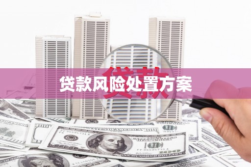 海安贷款风险处置方案