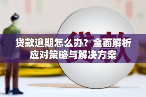 岱山贷款逾期怎么办？全面解析应对策略与解决方案
