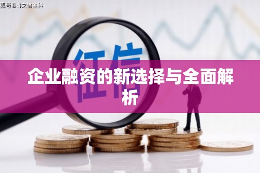 沈河企业融资的新选择与全面解析