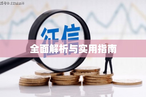 理县全面解析与实用指南