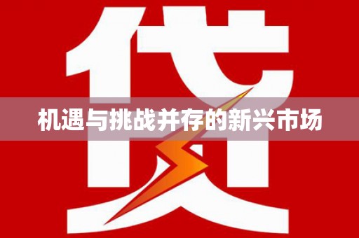 宝兴机遇与挑战并存的新兴市场
