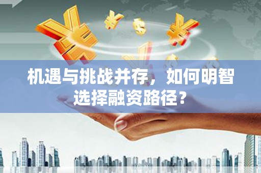 西峡机遇与挑战并存，如何明智选择融资路径？