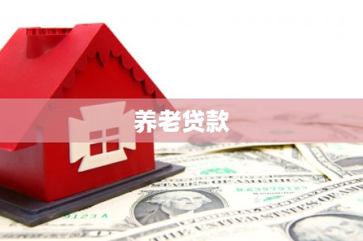 利津养老贷款
